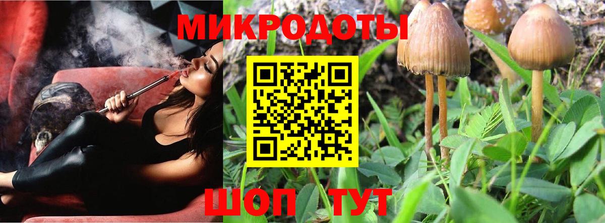 Псилоцибиновые грибы MAGIC MUSHROOMS  Вход с VPN  Серов 
