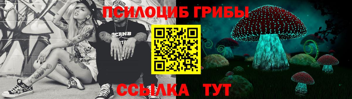 Псилоцибиновые грибы Psilocybe Серов